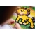 MELI MINIS WILD 50338 MINI WAFLE KLOCKI 500 elementów